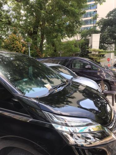 WhatsApp Image 2023-07-24 at 15.50.08